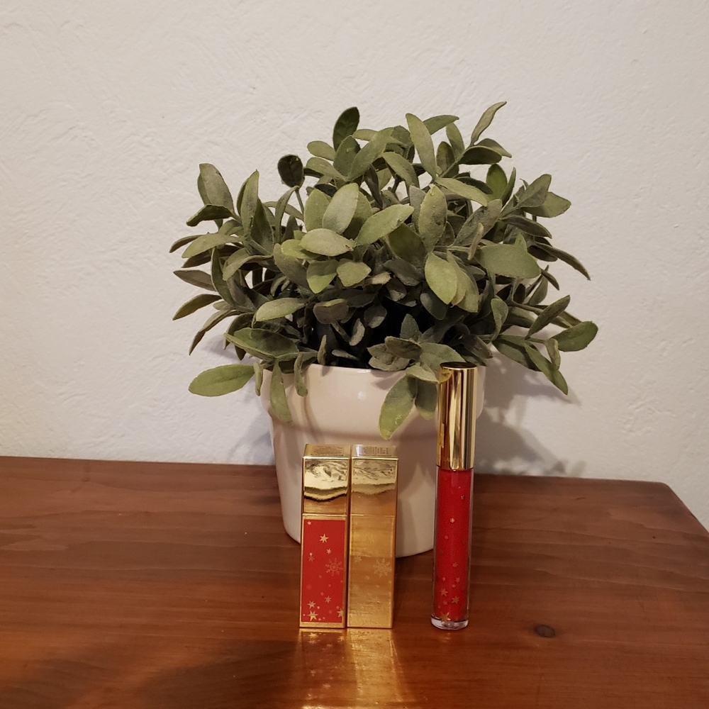 3 FOR 1! NWT Estee Lauder set | Pure Color Envy